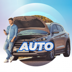 MAS ASSIST AUTO _1