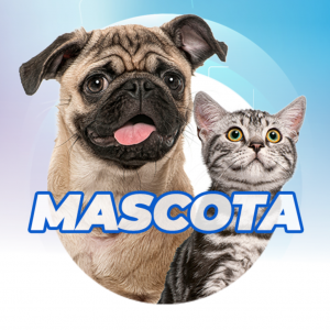 MAS ASSIST MASCOTA_1